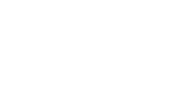 V Y S E
